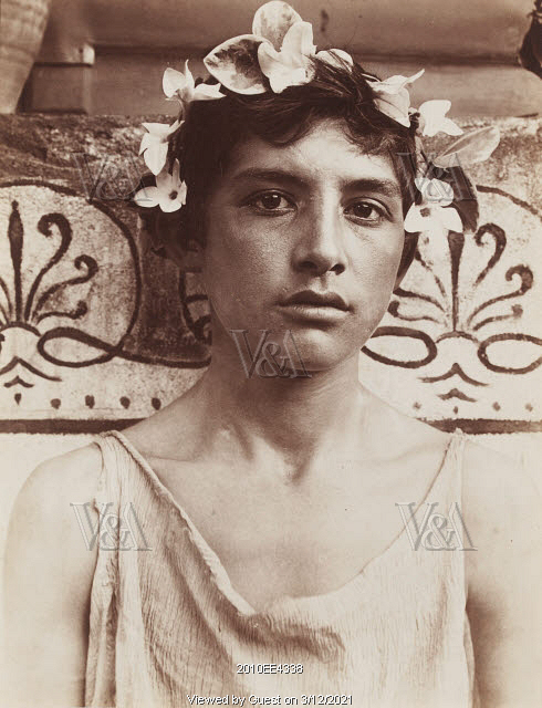 Portrait Of Sicilian Boy Photo Baron Wilhelm Von Gloeden Taormina Sicily V A Images